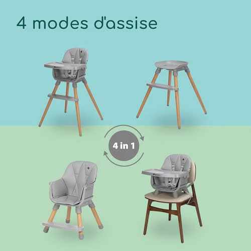 Bebeconfort Avista 2, chaise haute 4 en 1, chaise haute bébé évolutive, rehausseur, chaise pour repas, chaise enfant, 6 mois – 14 ans (9-60 kg), coussins rembourrés, tablette réglable, Tinted Grey 5 Bebeconfort Avista 2, chaise haute 4 en 1, chaise haute bébé évolutive, rehausseur, chaise pour repas, chaise enfant, 6 mois – 14 ans (9-60 kg), coussins rembourrés, tablette réglable, Tinted Grey pas cher